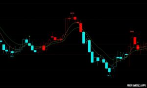 期货2409合约调仓公告
