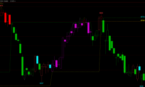 投资心理学：打造坚不可摧的期货操作心态